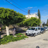 بلدية طولكرم تواصل أعمال تقليم أشجار الزينة في الشوارع الرئيسية☘️