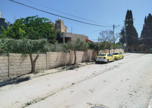 جانب من أعمال قسم الزراعة والبستنه في مناطق متفرقة من المدينة والضواحي