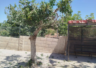 جانب من أعمال قسم الزراعة والبستنه في مناطق متفرقة من المدينة والضواحي