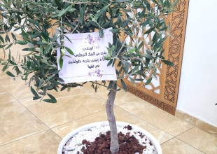 بحث آفاق التعاون المشترك وتعزيز الشراكات التنموية والمجتمعية بين البلدية والبنك الوطني